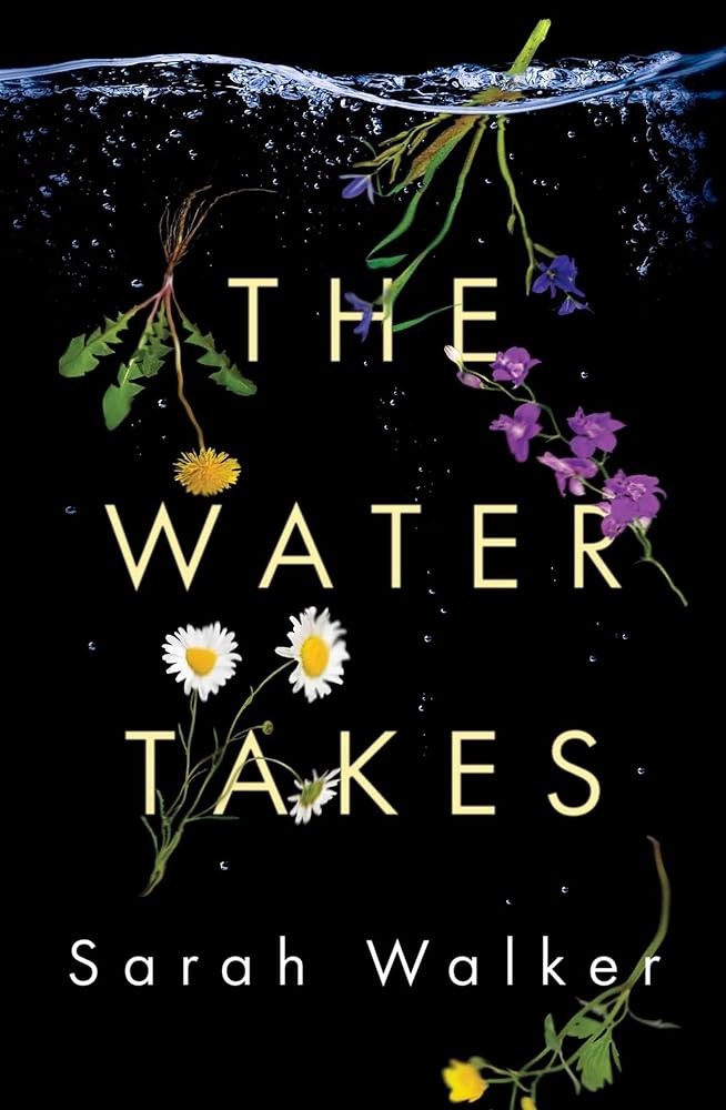 The Water Takes cover image